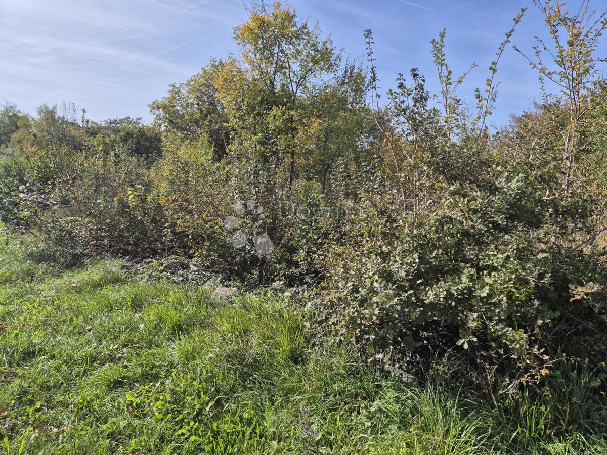 Zazidljivo zemljišče Labin, 1.506m2