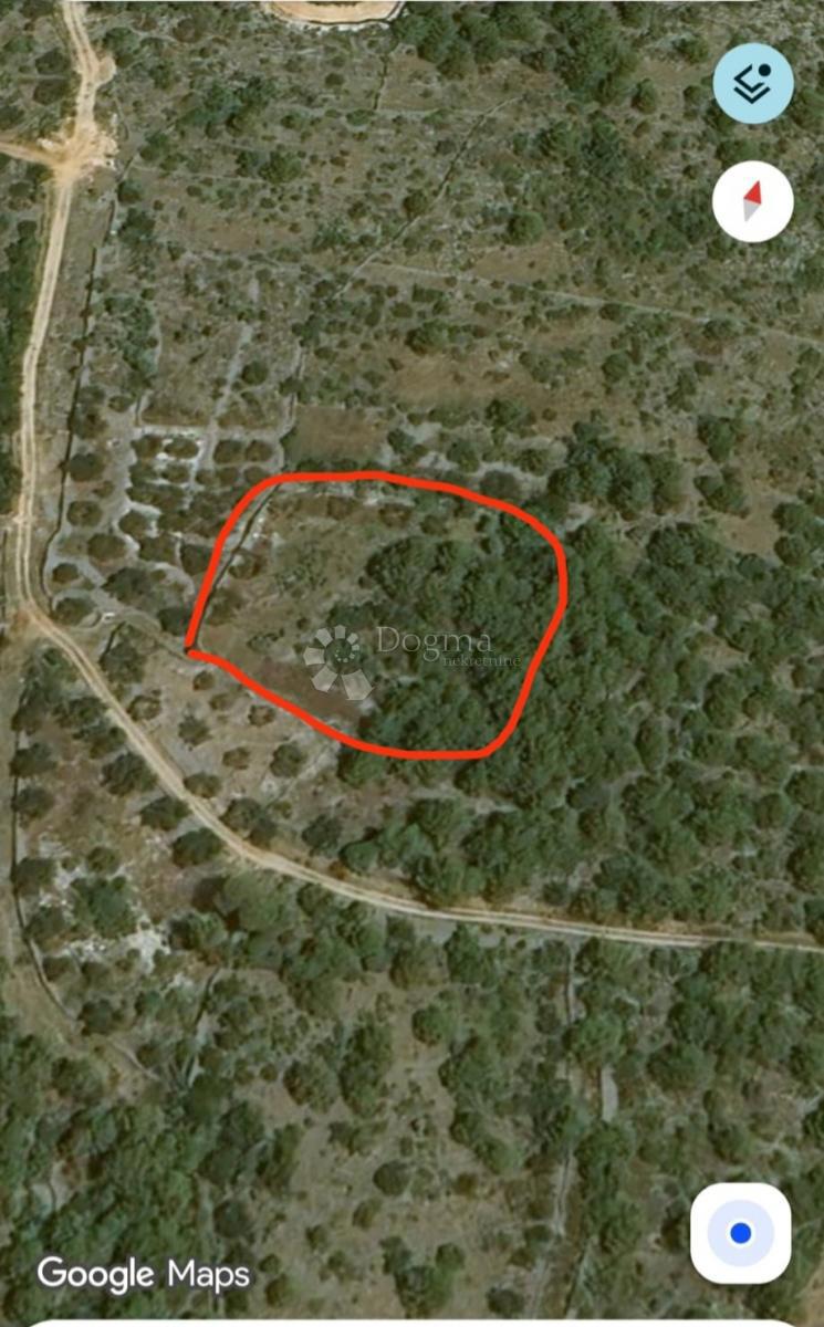 Kmetijsko zemljišče Gustirna, Marina, 2.781m2