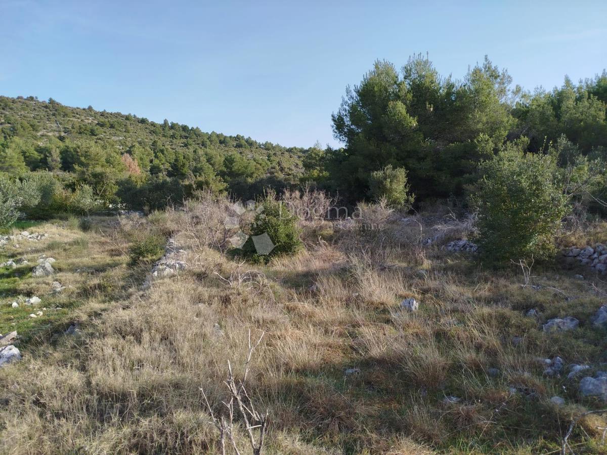 Kmetijsko zemljišče Gustirna, Marina, 2.781m2