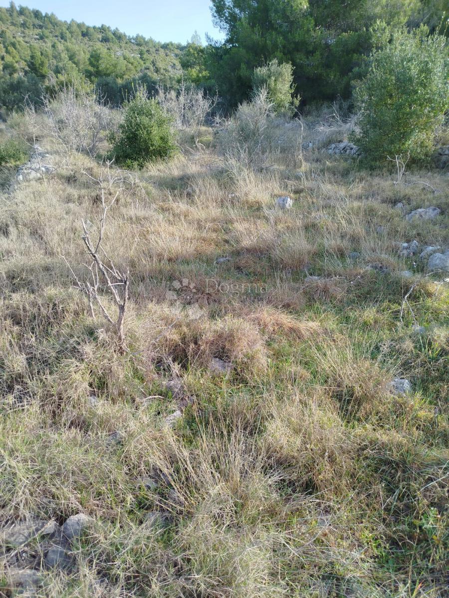 Kmetijsko zemljišče Gustirna, Marina, 2.781m2