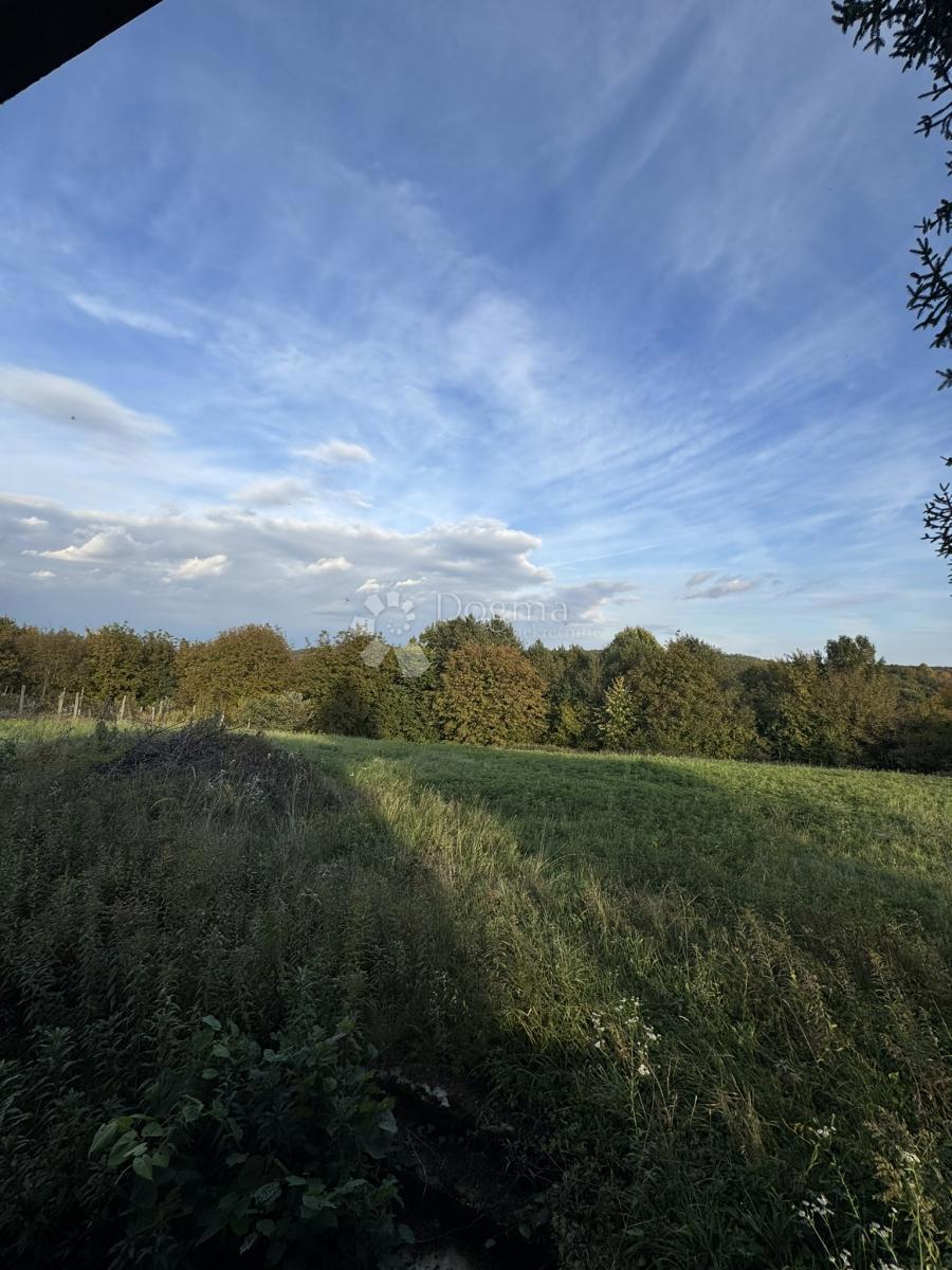 Hiša Hampovica, Virje, 50m2