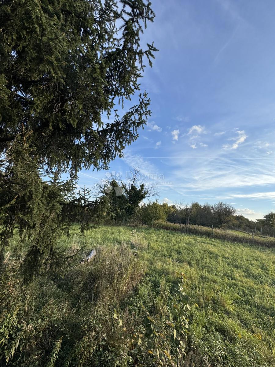 Hiša Hampovica, Virje, 50m2