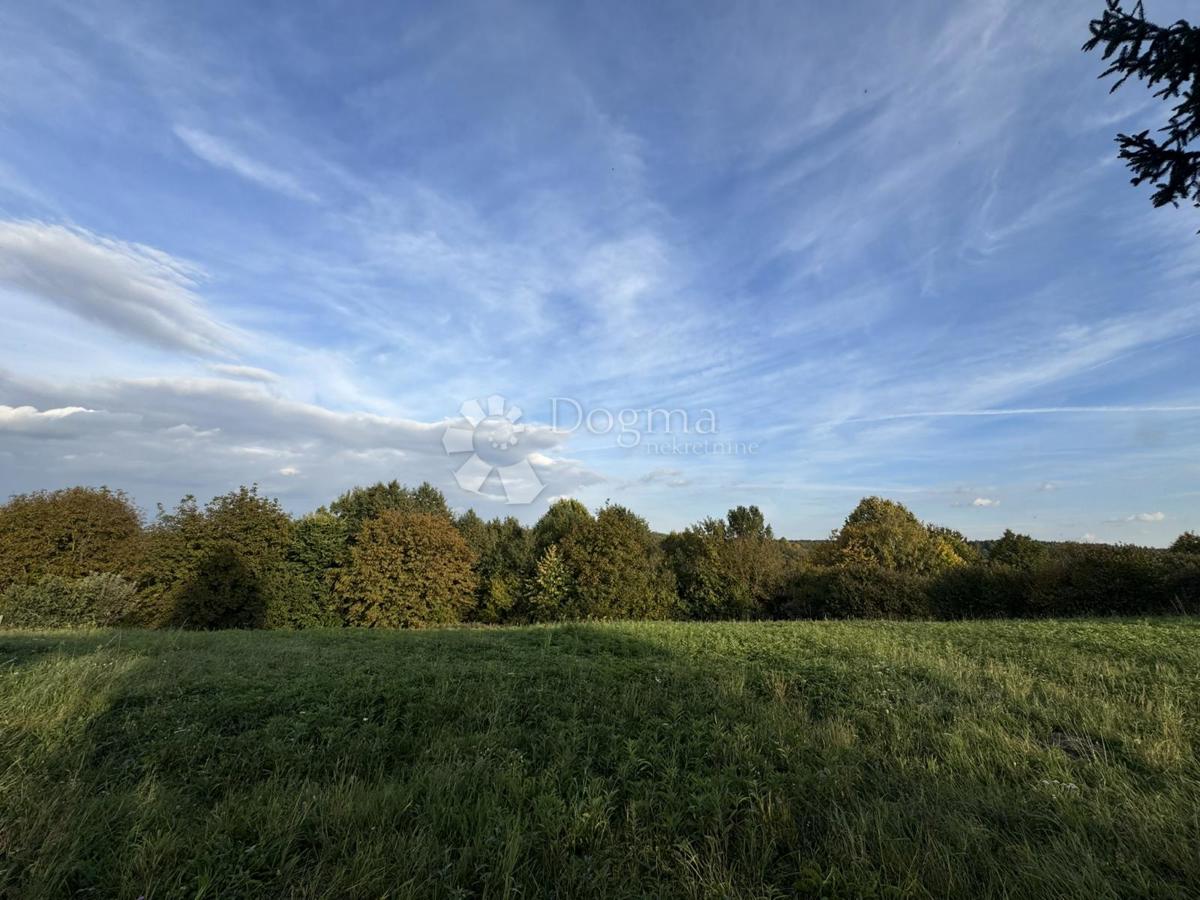 Hiša Hampovica, Virje, 50m2