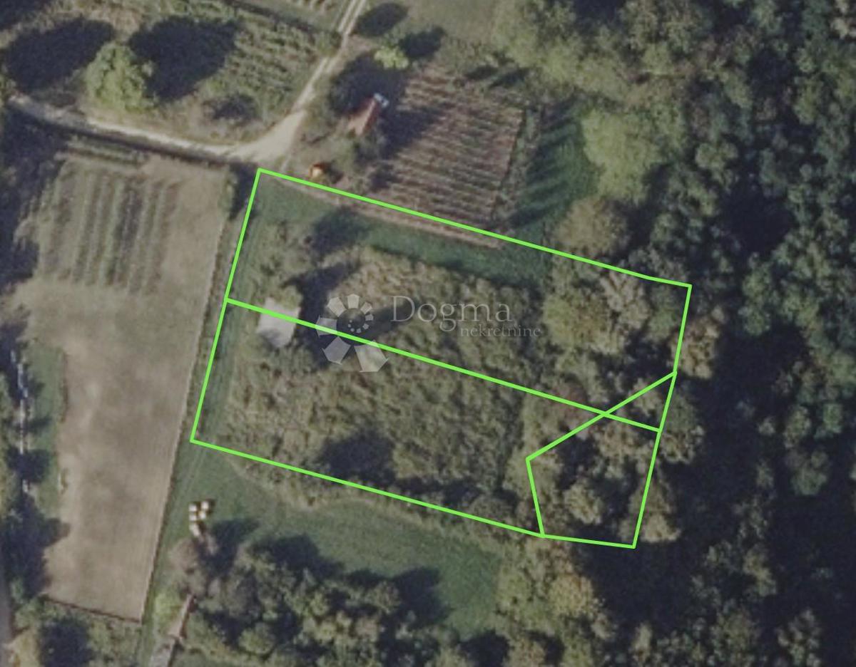 Hiša Hampovica, Virje, 50m2