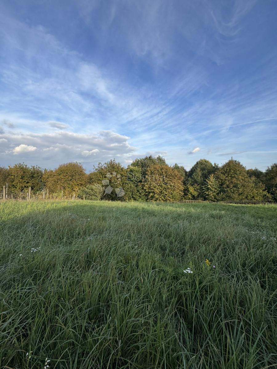 Hiša Hampovica, Virje, 50m2