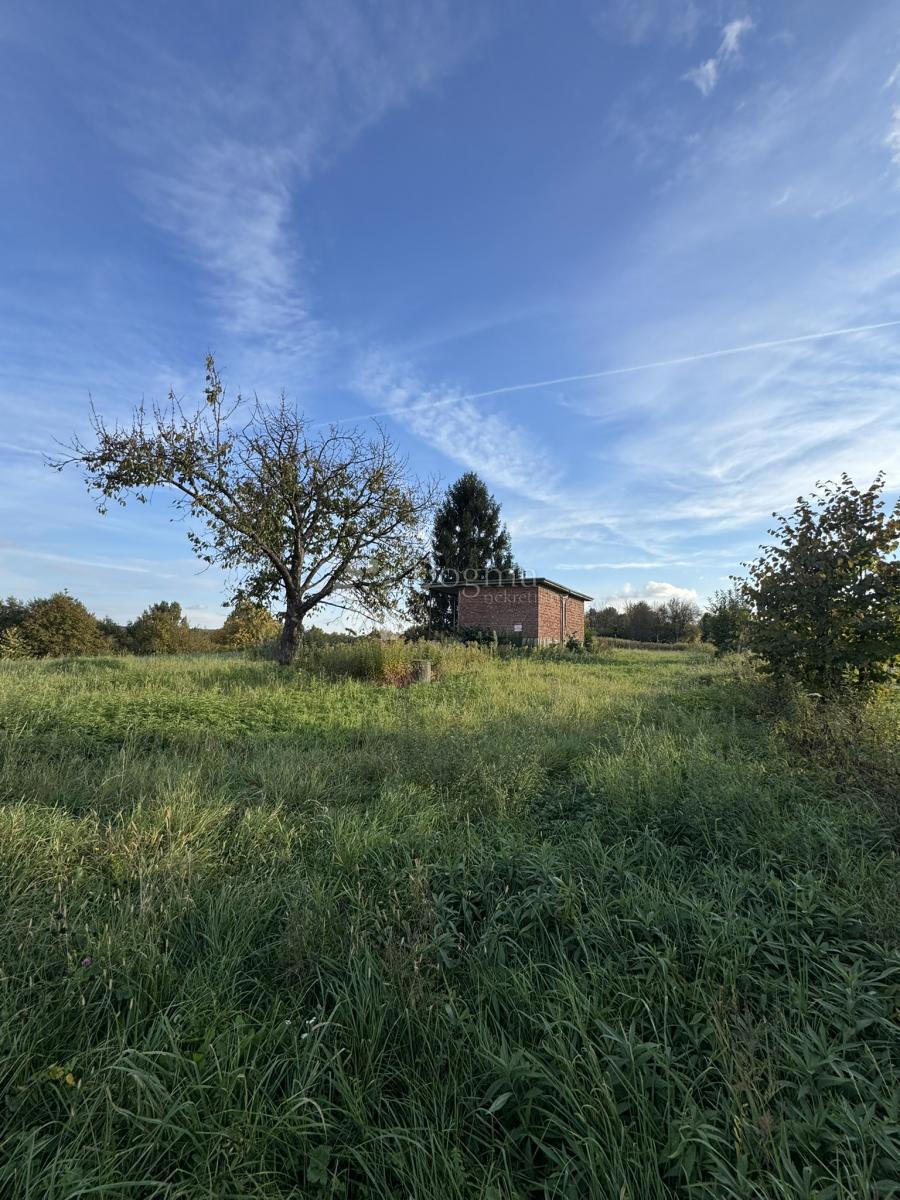 Hiša Hampovica, Virje, 50m2