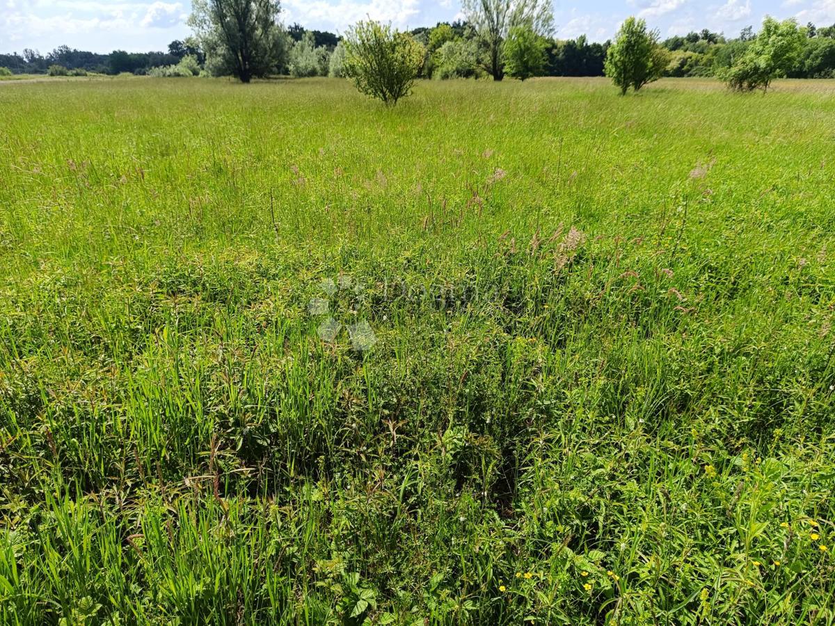 Kmetijsko zemljišče Brezovica, 2.400m2