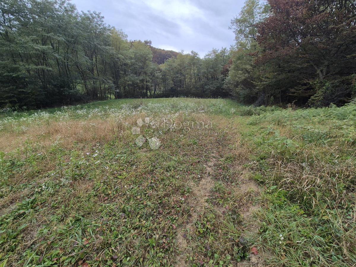 Kmetijsko zemljišče Mala Gora, Pregrada, 1.169m2