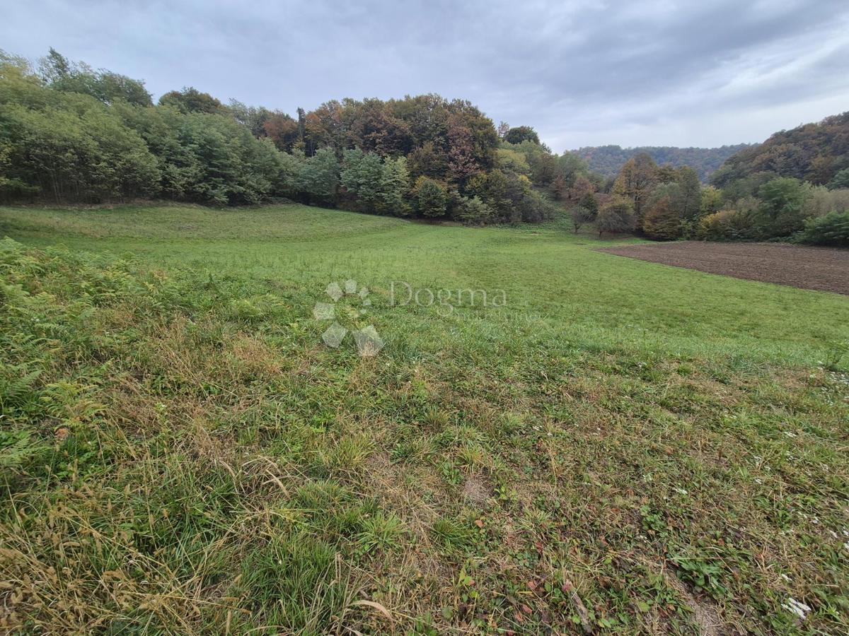 Kmetijsko zemljišče Mala Gora, Pregrada, 1.169m2