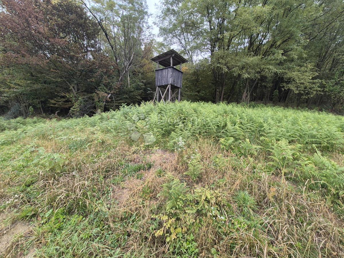 Kmetijsko zemljišče Mala Gora, Pregrada, 1.169m2