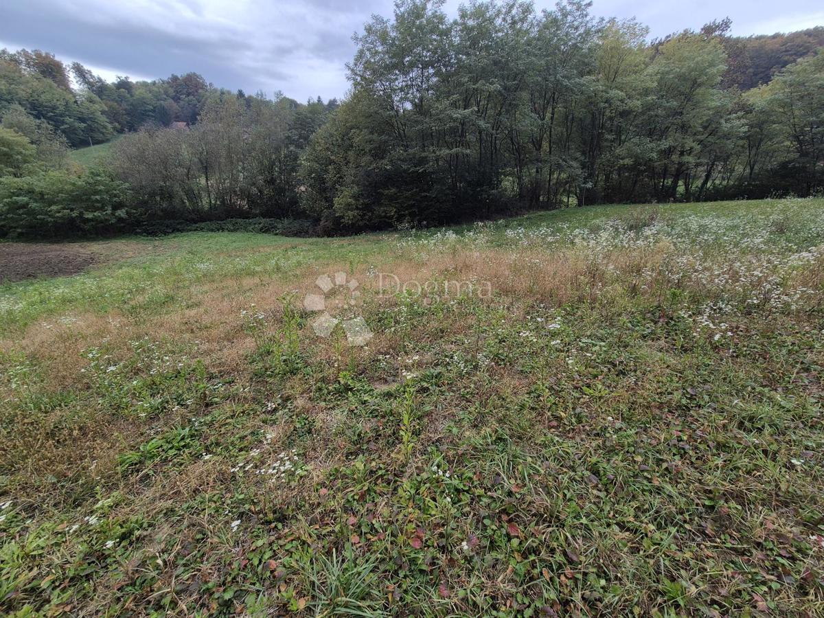 Kmetijsko zemljišče Mala Gora, Pregrada, 1.169m2