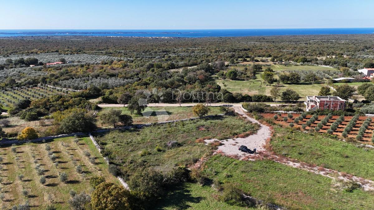 Zazidljivo zemljišče Vodnjan, 900m2