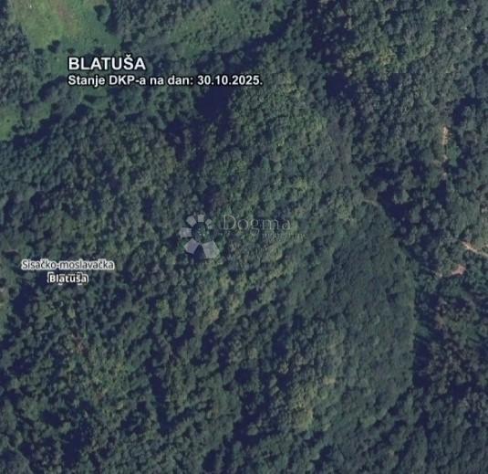 Kmetijsko zemljišče Blatuša, Gvozd, 12.000m2