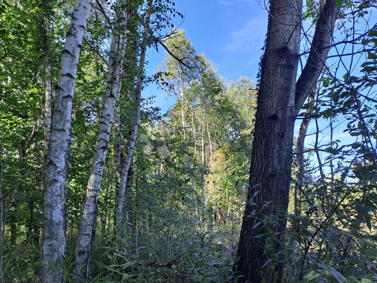 Kmetijsko zemljišče Blatuša, Gvozd, 12.000m2