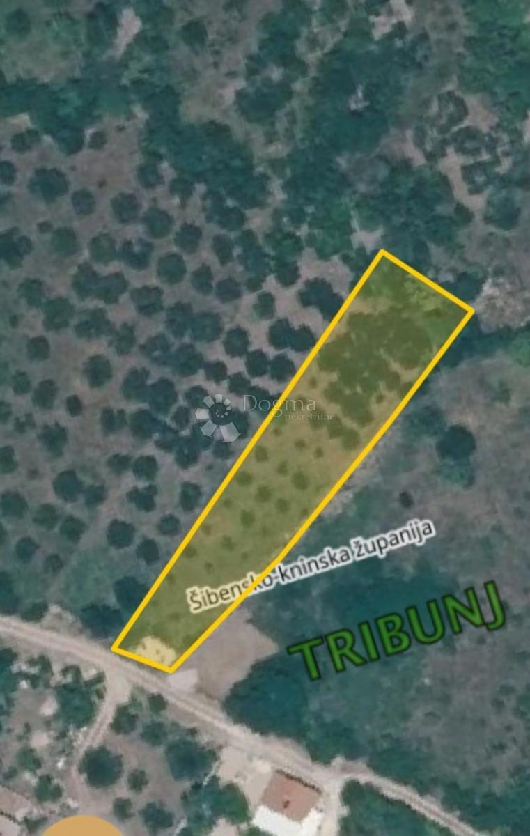Kmetijsko zemljišče Tribunj, 1.272m2