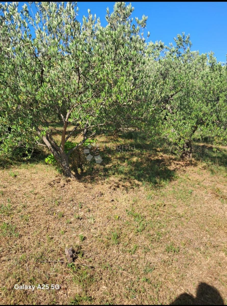 Kmetijsko zemljišče Tribunj, 1.272m2