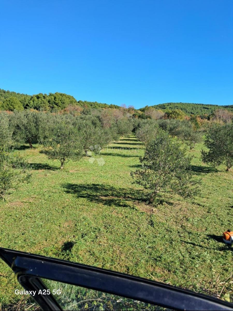 Kmetijsko zemljišče Tribunj, 1.272m2