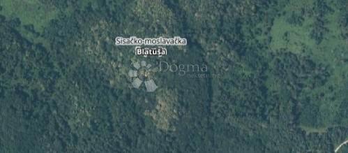 Kmetijsko zemljišče Blatuša, Gvozd, 14.264m2