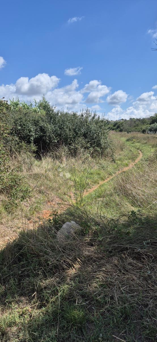 Zazidljivo zemljišče Šikići, Pula, 1.862m2