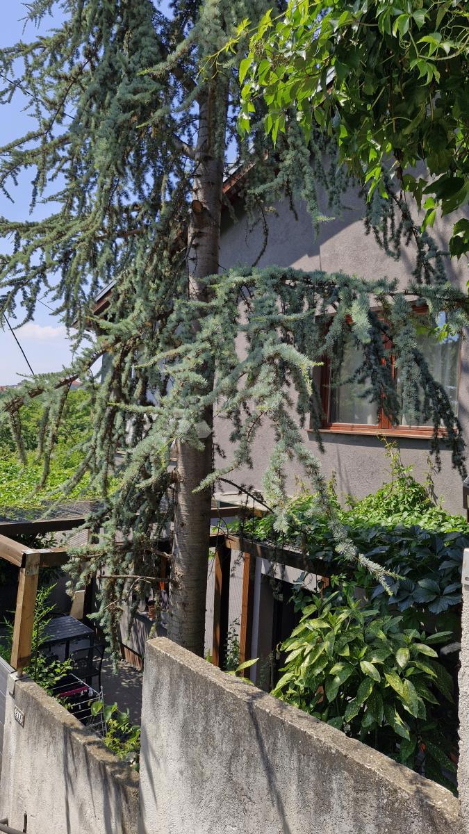 Hiša Vrhovec, Črnomerec, 168m2