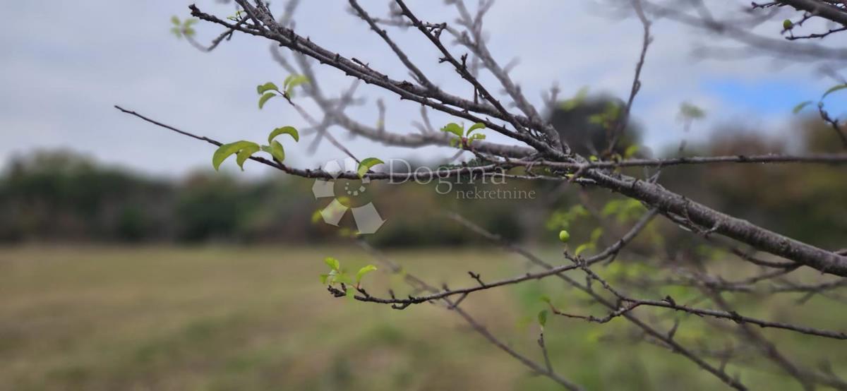 Zazidljivo zemljišče Štinjan, Pula, 601m2