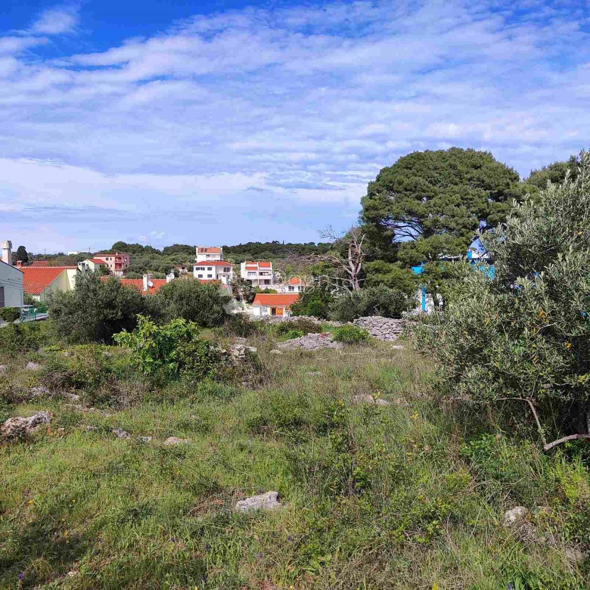 Zemljišče Dugi otok Božava 50m od morja