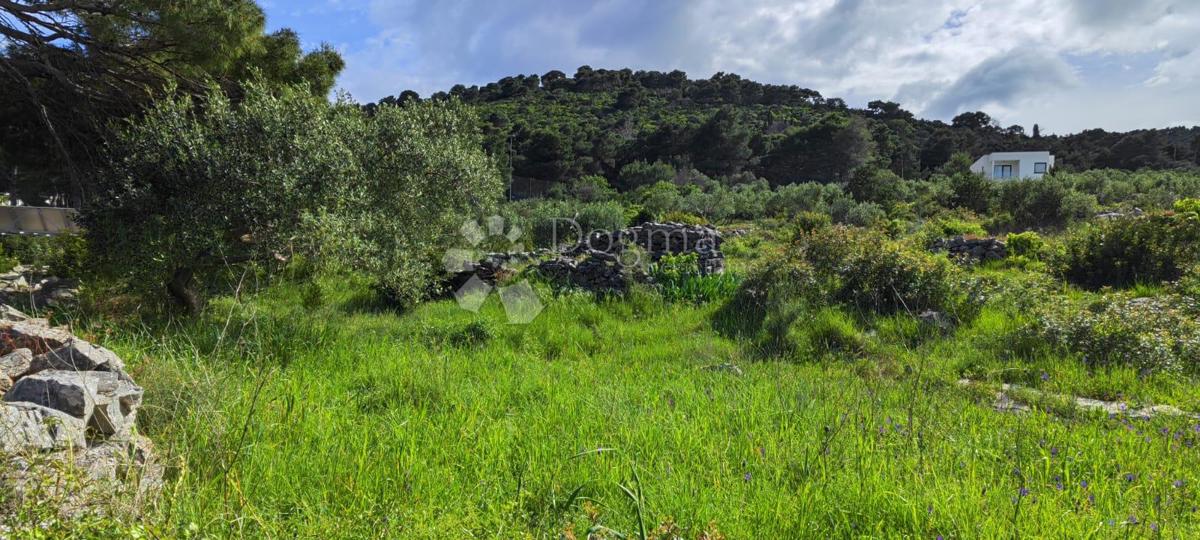 Zemljišče Dugi otok Božava 50m od morja
