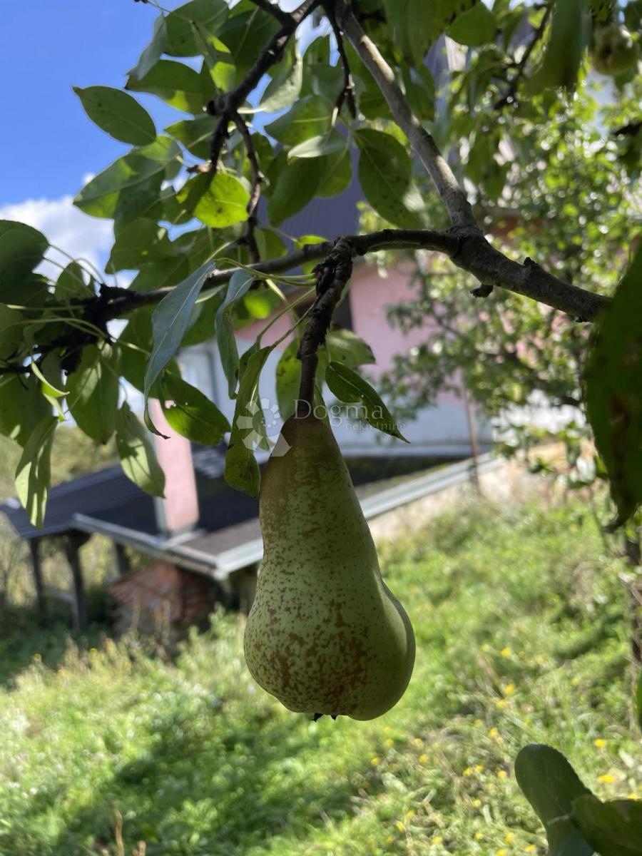 Hiša Svetičko Hrašće, Ozalj, 130m2