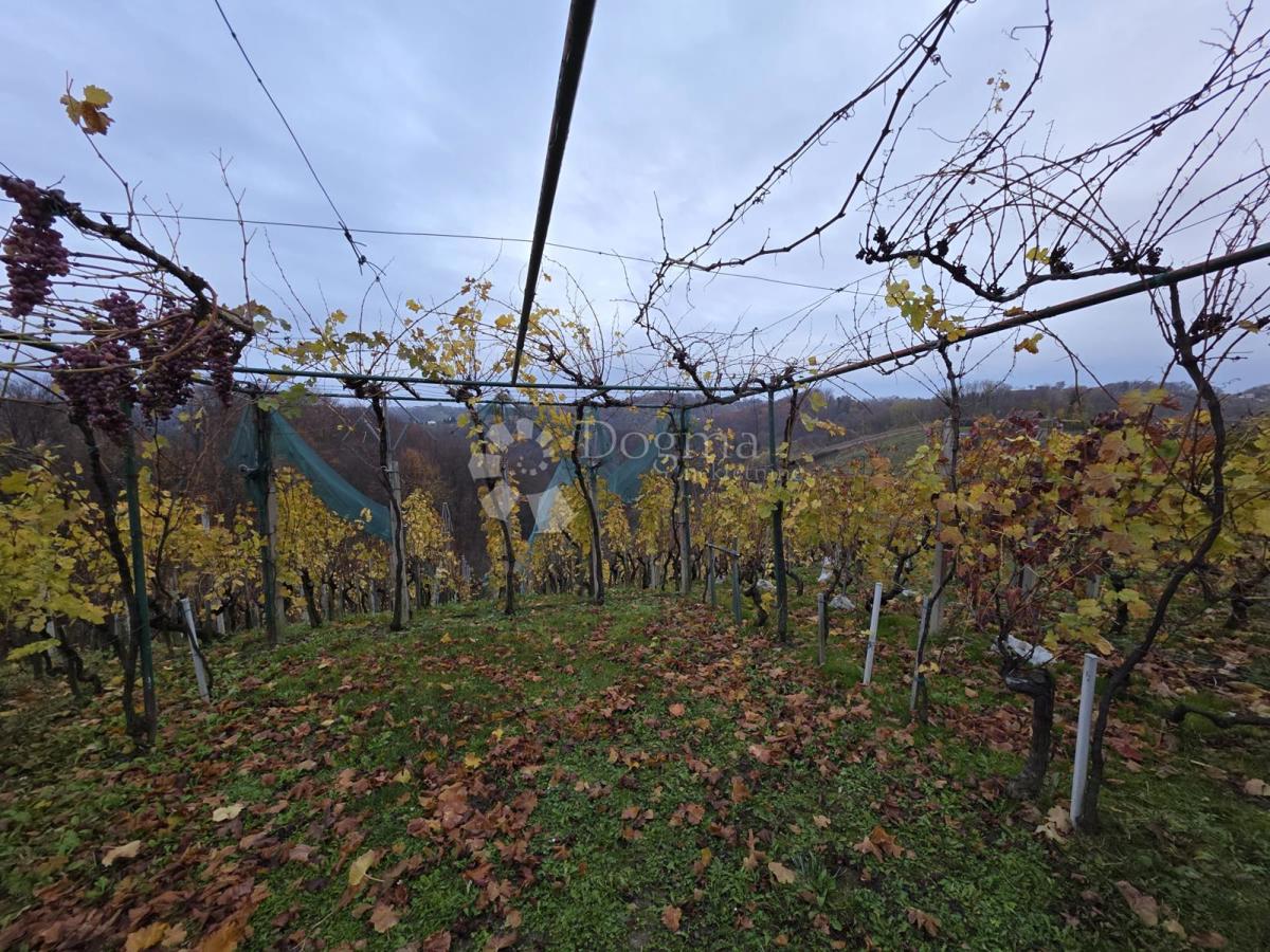 Hiša Vinica Breg, Vinica, 85m2