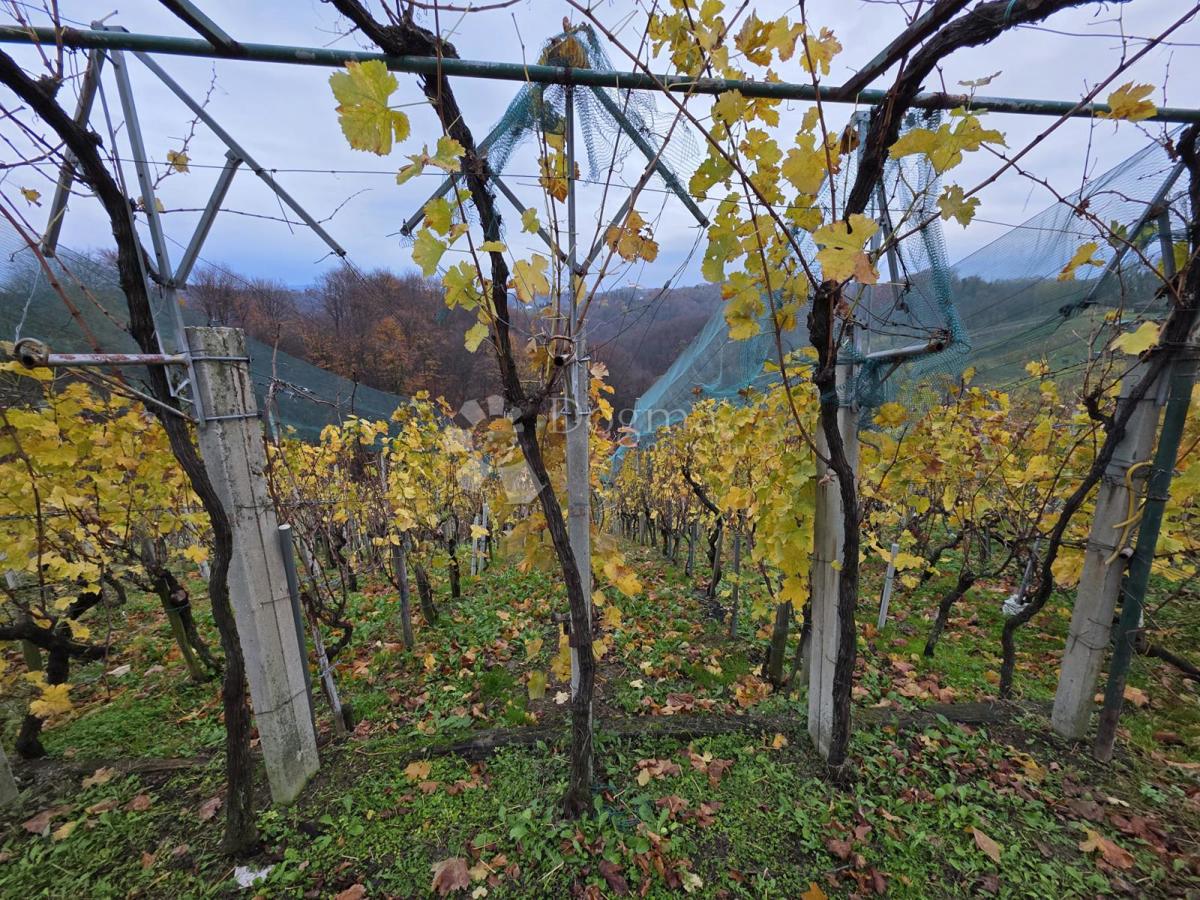 Hiša Vinica Breg, Vinica, 85m2