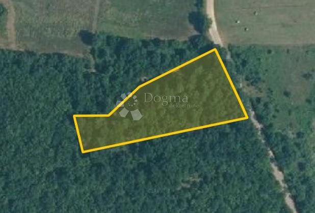 Kmetijsko zemljišče Fuškulin, Poreč, 4.750m2