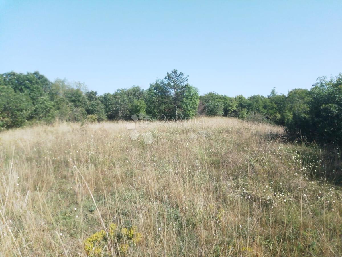 Prodaja se zemljišče s površino 23.866 m2 (23,87 m2), delno ZGRAJENO, v Nedešćini (Istra)!!