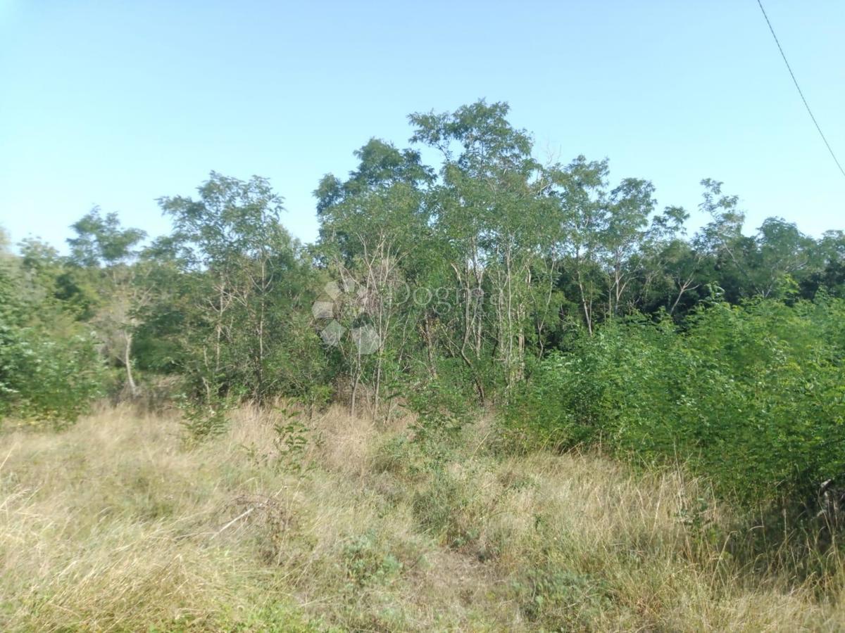 Prodaja se zemljišče s površino 23.866 m2 (23,87 m2), delno ZGRAJENO, v Nedešćini (Istra)!!