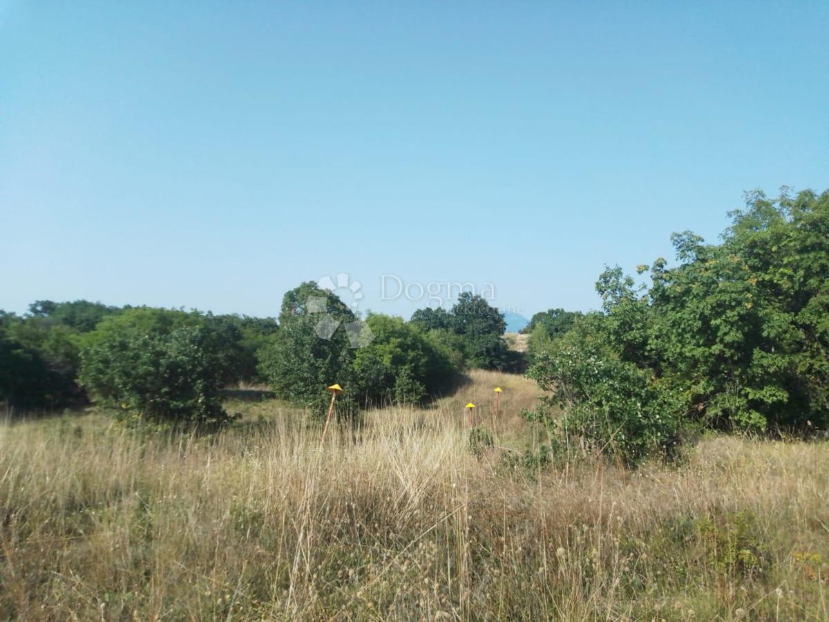 Prodaja se zemljišče s površino 23.866 m2 (23,87 m2), delno ZGRAJENO, v Nedešćini (Istra)!!