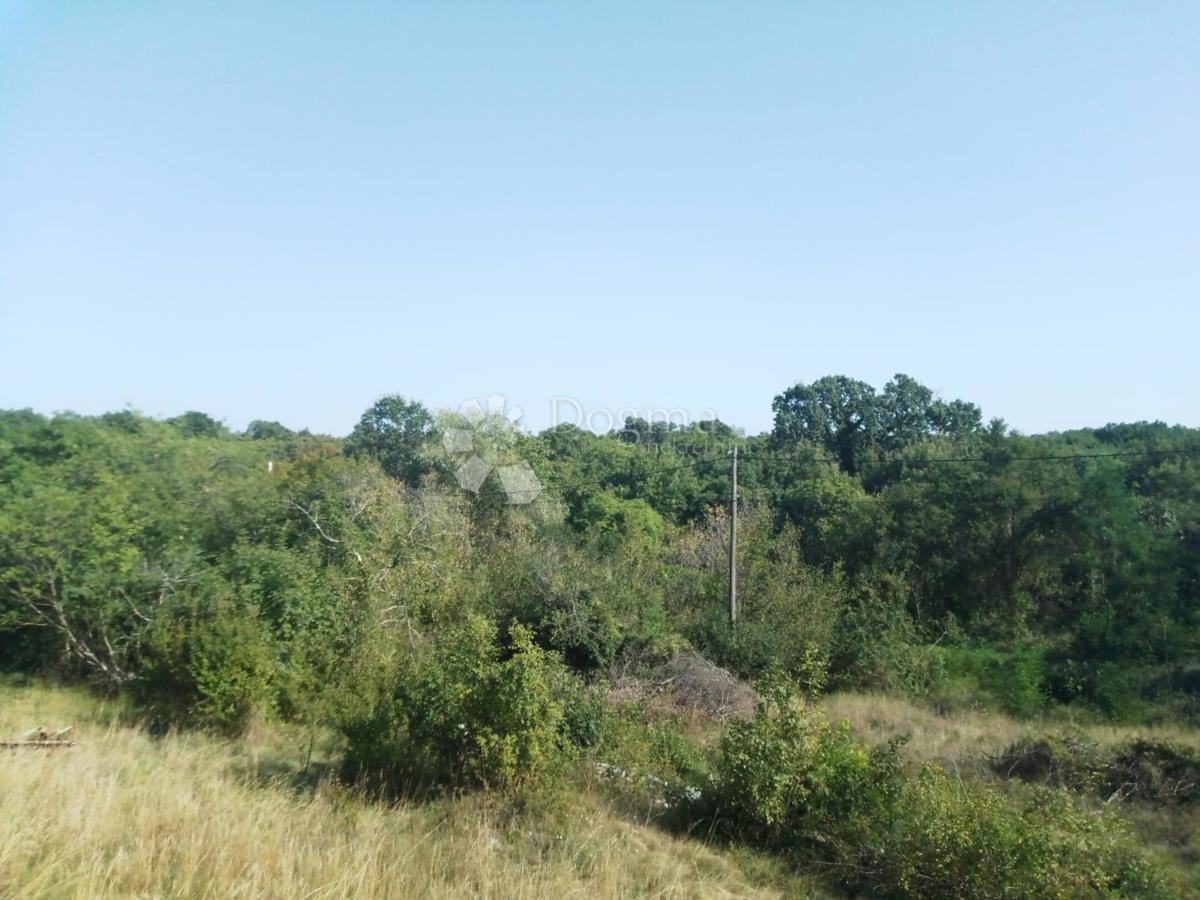 Prodaja se zemljišče s površino 23.866 m2 (23,87 m2), delno ZGRAJENO, v Nedešćini (Istra)!!