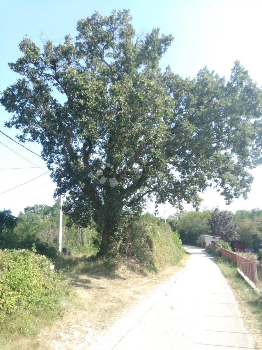 Prodaja se zemljišče s površino 23.866 m2 (23,87 m2), delno ZGRAJENO, v Nedešćini (Istra)!!