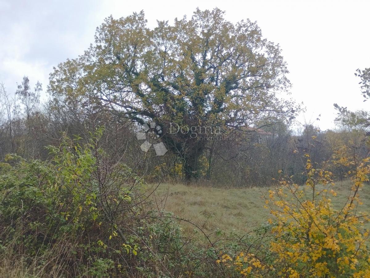 Prodaja se zemljišče s površino 23.866 m2 (23,87 m2), delno ZGRAJENO, v Nedešćini (Istra)!!
