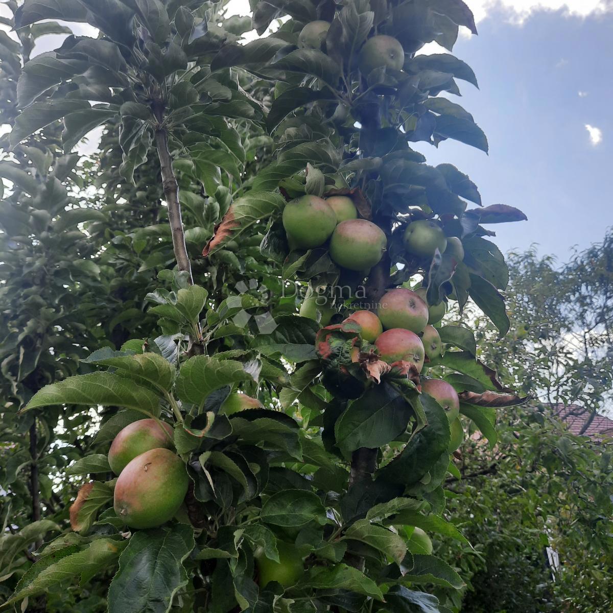 Hiša Varaždinske Toplice, 300m2