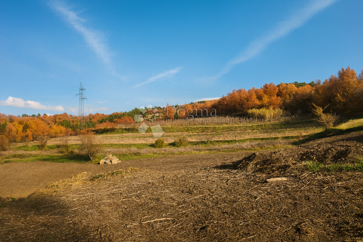 Vrhunsko zemljišče v osrčju Istre - idealno za moderno vilo z bazenom