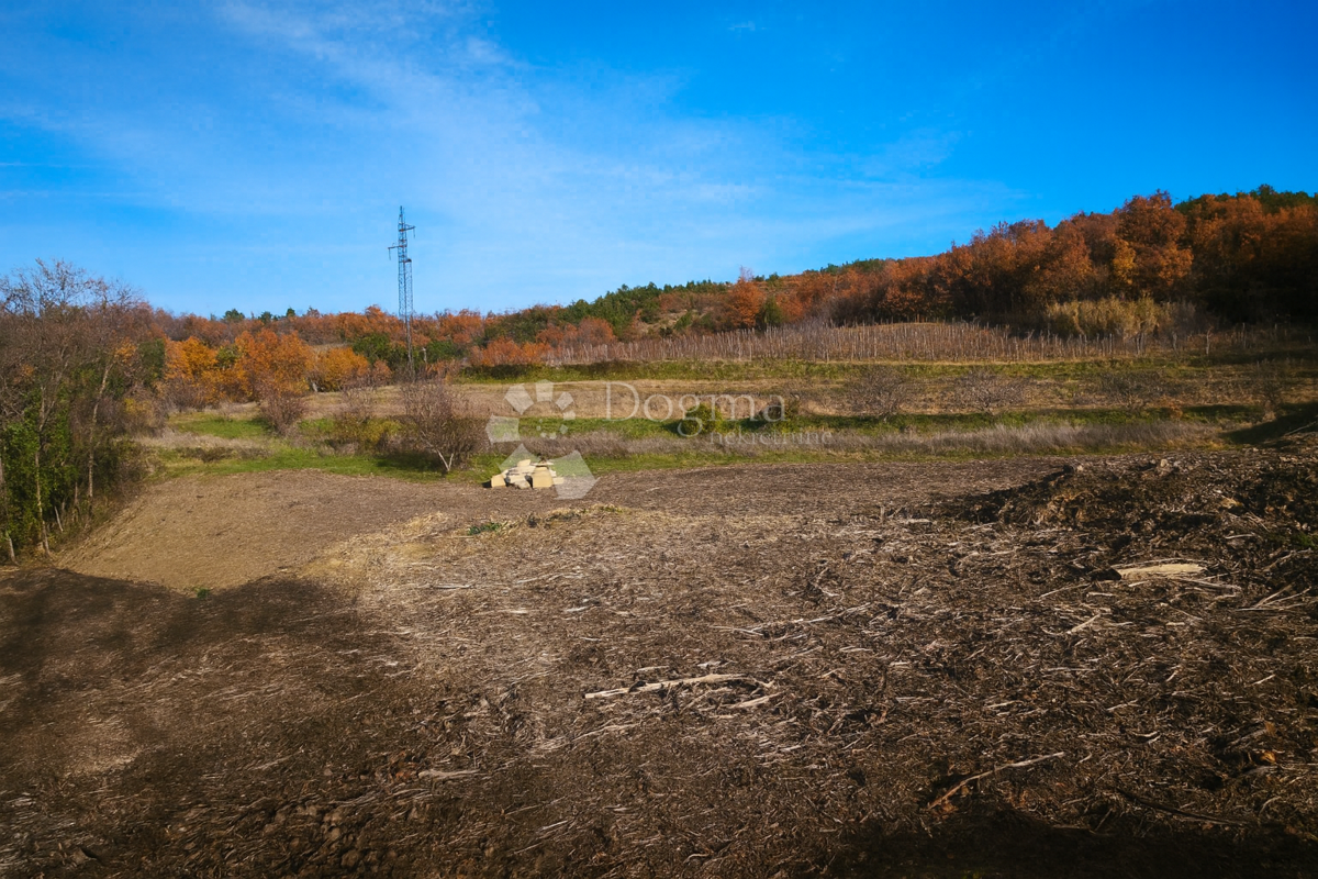 Vrhunsko zemljišče v osrčju Istre - idealno za moderno vilo z bazenom