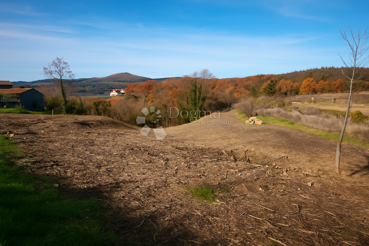 Vrhunsko zemljišče v osrčju Istre - idealno za moderno vilo z bazenom