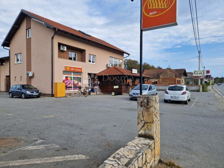 Hiša Brzaj, Sisak, 650m2