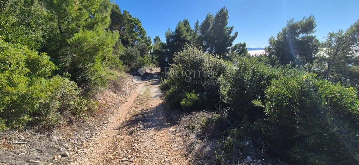 Kmetijsko zemljišče Potomje, Orebić, 4.500m2