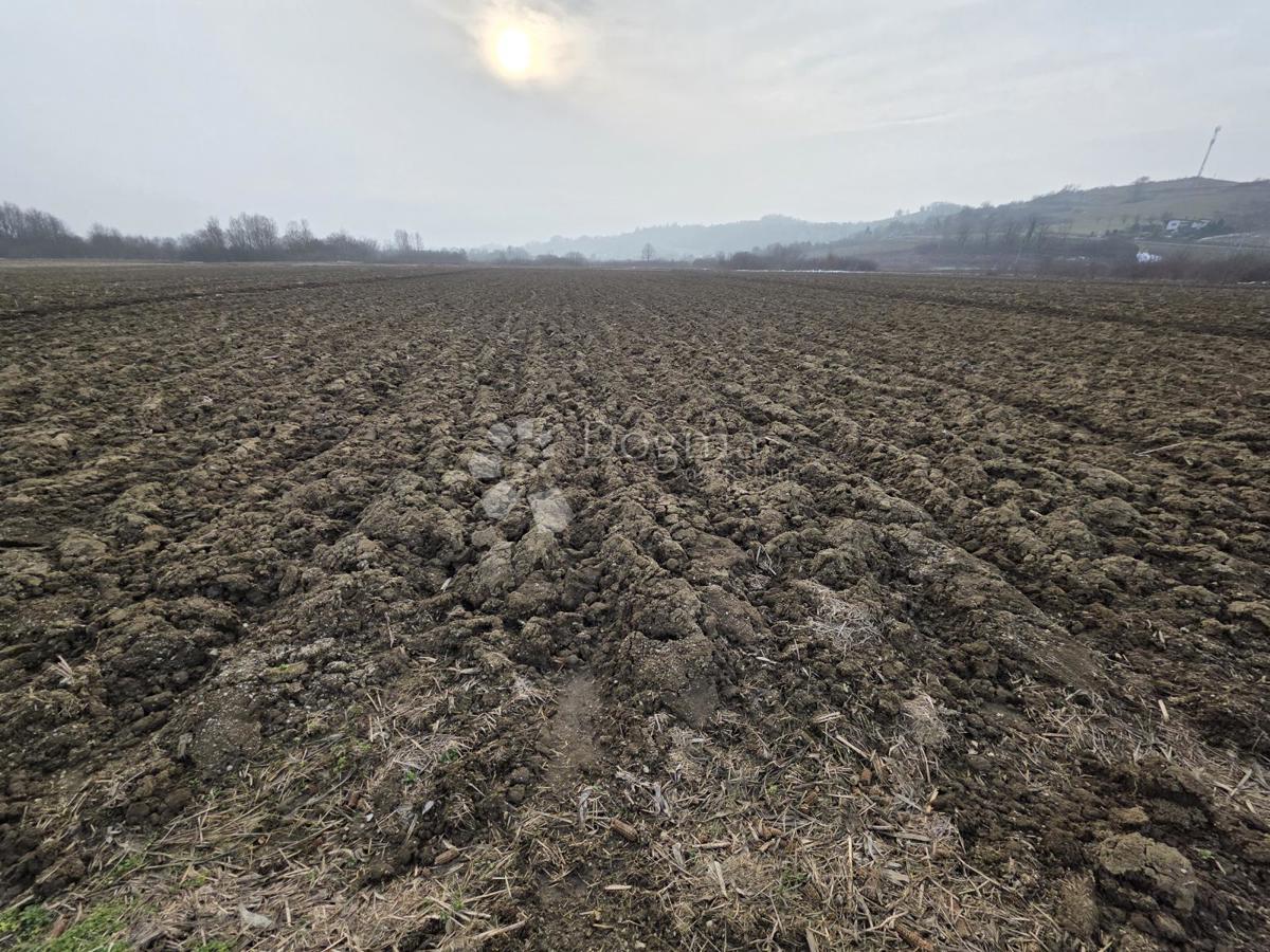 Kmetijsko zemljišče Luka, 3.766m2