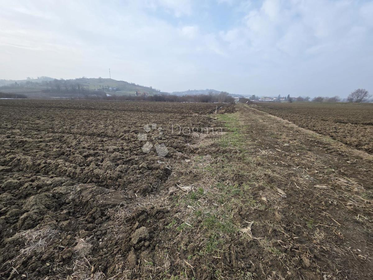 Kmetijsko zemljišče Luka, 3.766m2