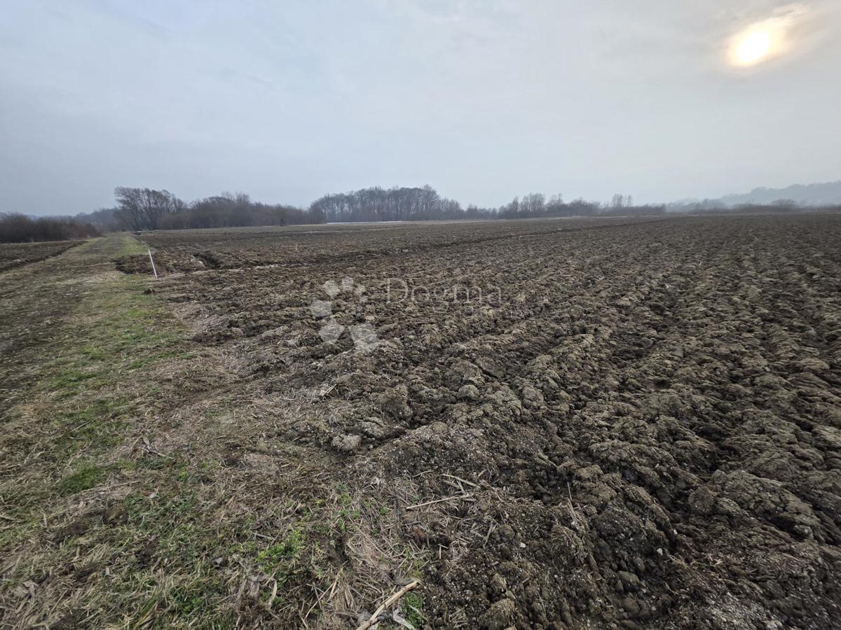 Kmetijsko zemljišče Luka, 3.766m2