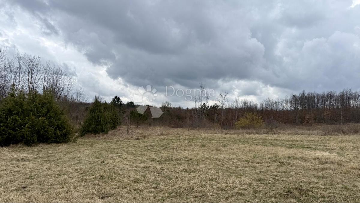 Kmetijsko zemljišče Bazgalji, Gračišće, 61.785m2