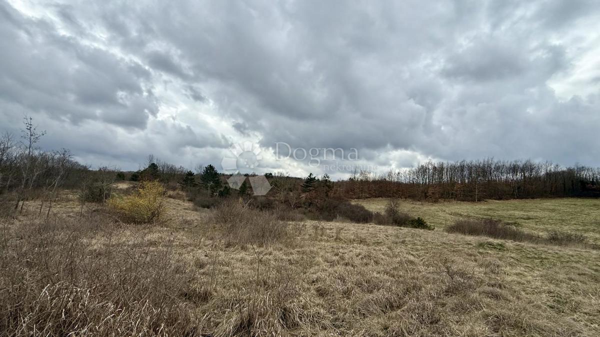 Kmetijsko zemljišče Bazgalji, Gračišće, 61.785m2