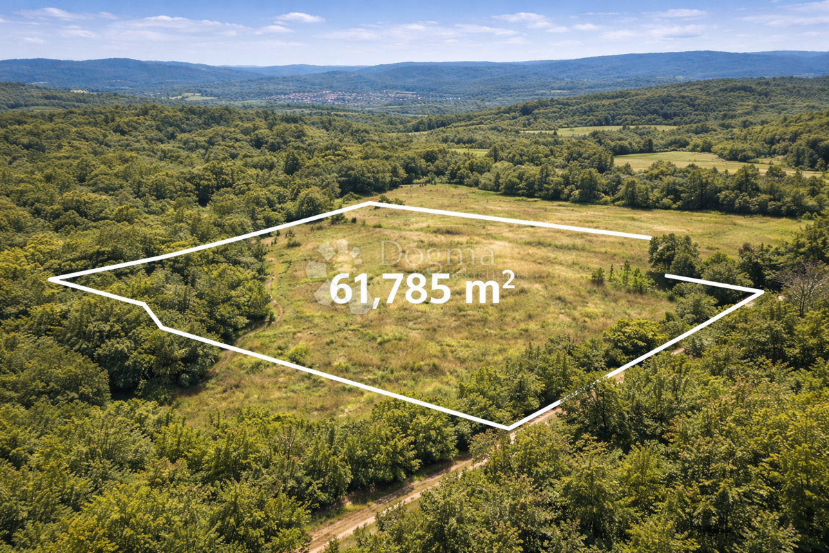Kmetijsko zemljišče Bazgalji, Gračišće, 61.785m2