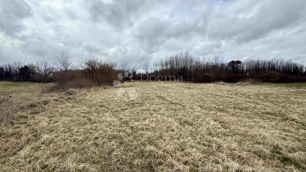 Kmetijsko zemljišče Bazgalji, Gračišće, 61.785m2